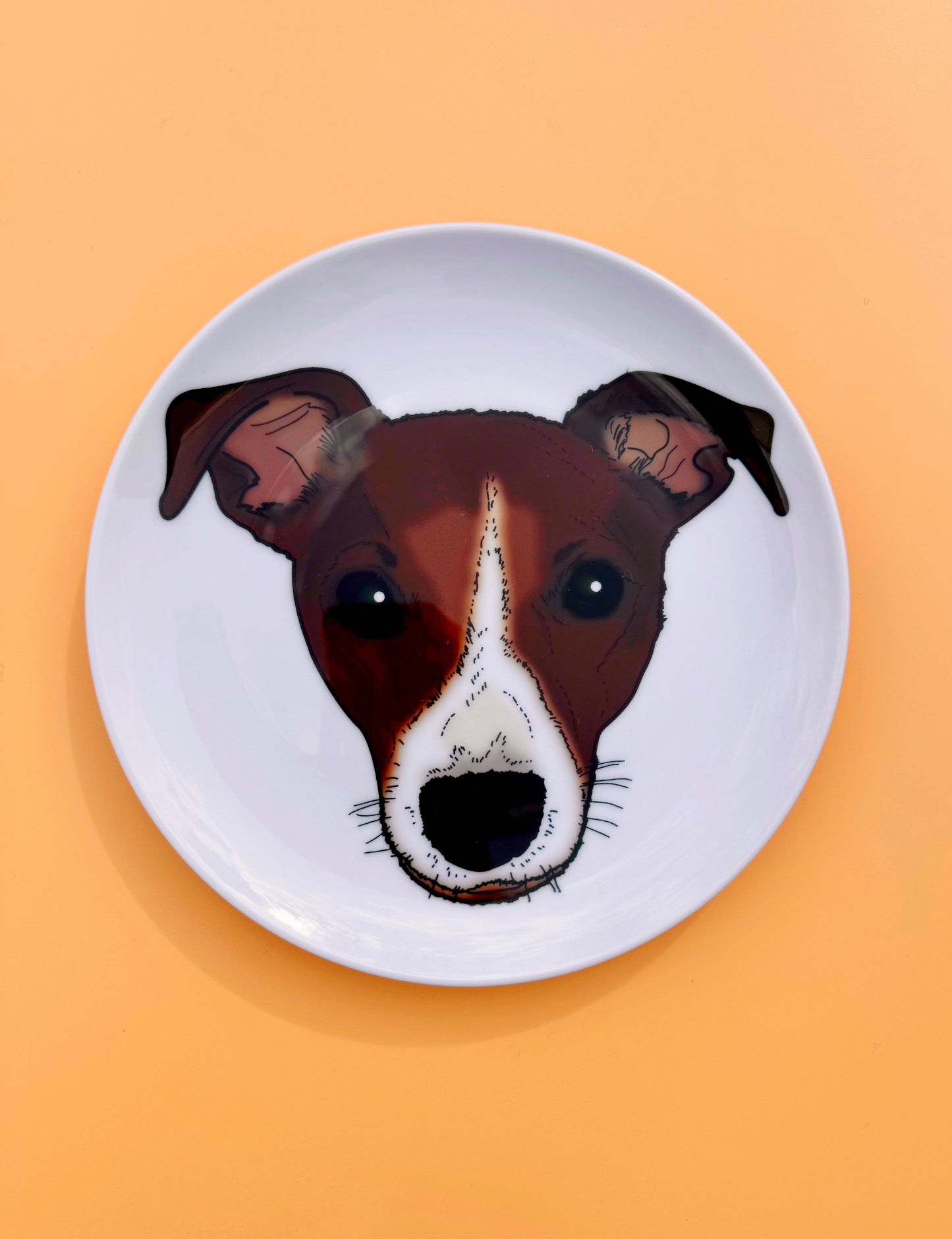 Ceramic Plates